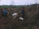 vlcsnap-860968