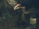 vlcsnap-867447