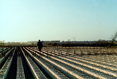 parallellines jpg