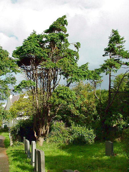 19990924abergele040