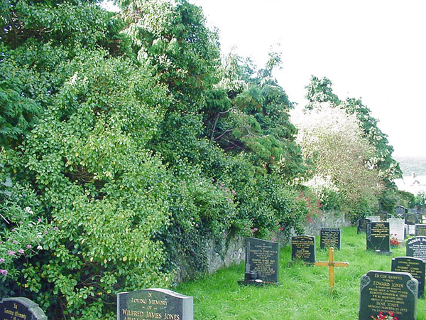 19990924abergele041