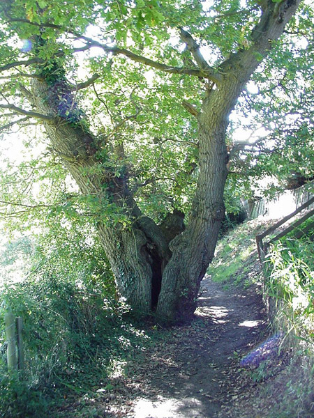 19990924abergele056